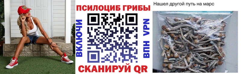 площадка телеграм  Кувандык  Псилоцибиновые грибы мицелий  хочу  